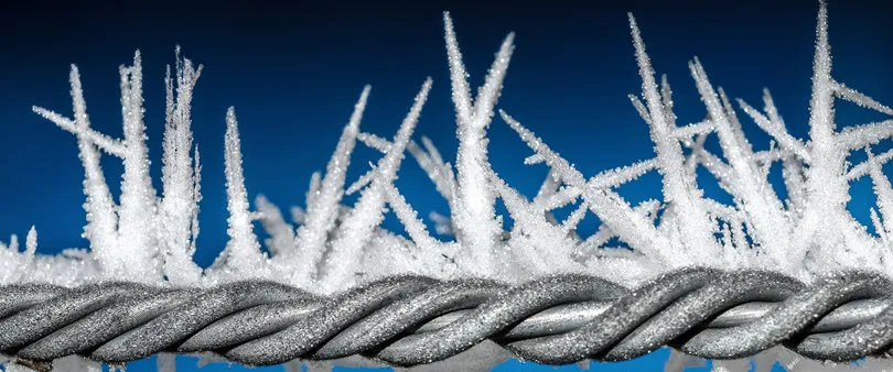 Frozen1