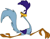 Roadrunner_looney_tunes
