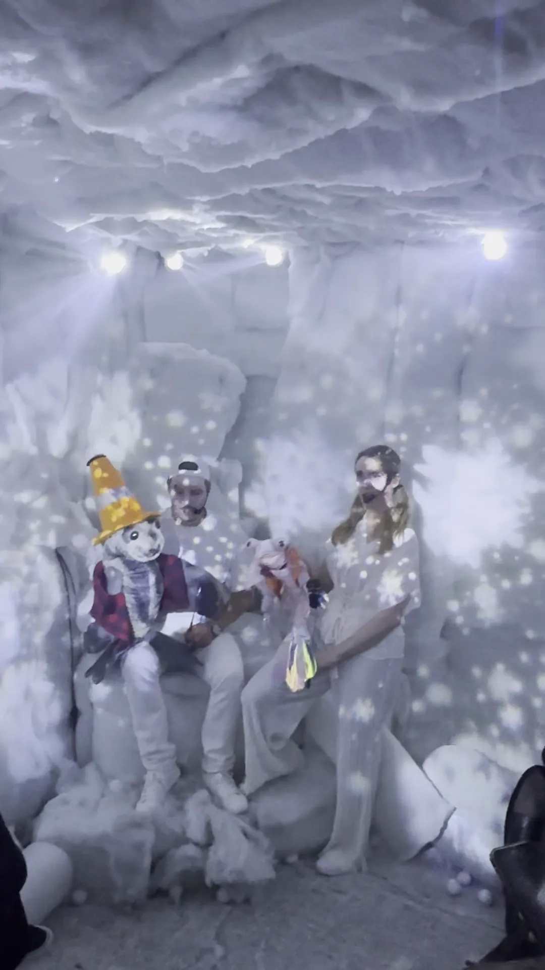 snow room