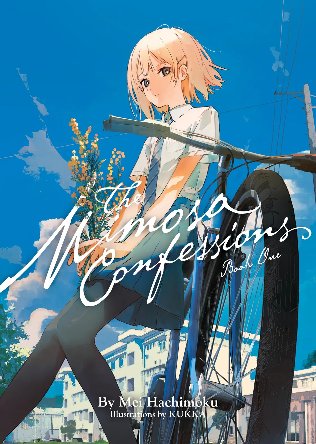 The Mimosa Confessions cover