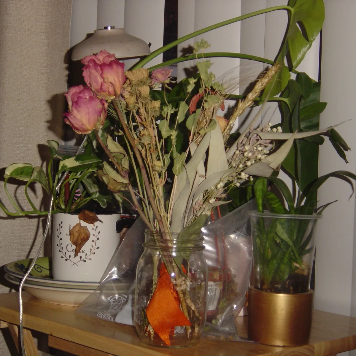 2/27/2026 - My sister loves plants.