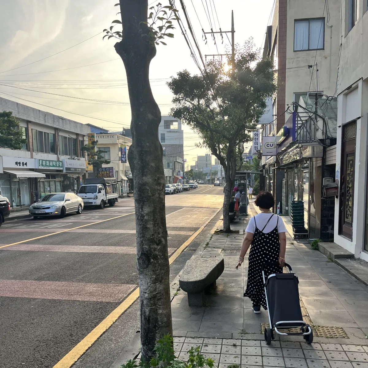 6/24/2024 - A picture from Jeju Island, South Korea. My first time on an island.