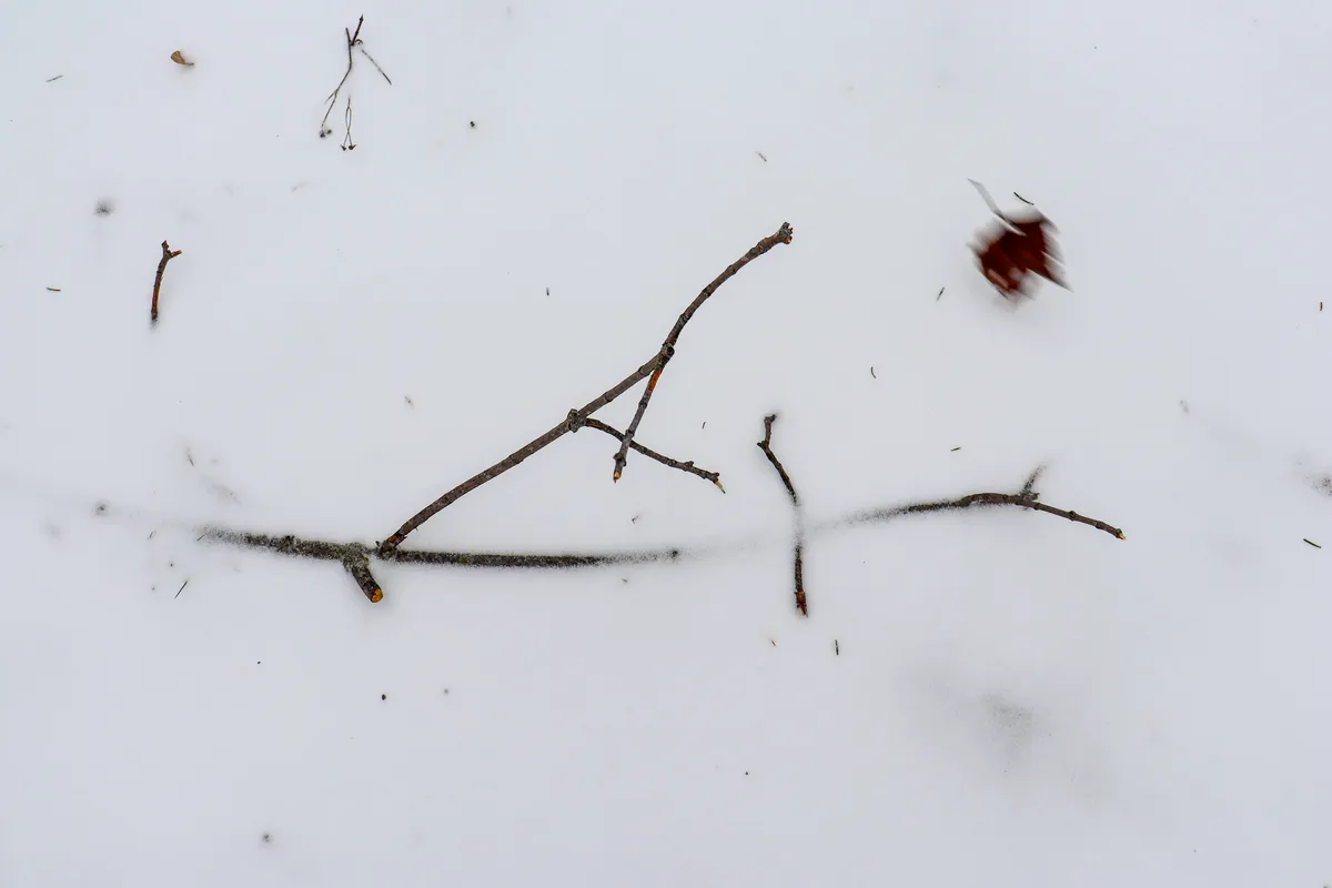winter_substack_3