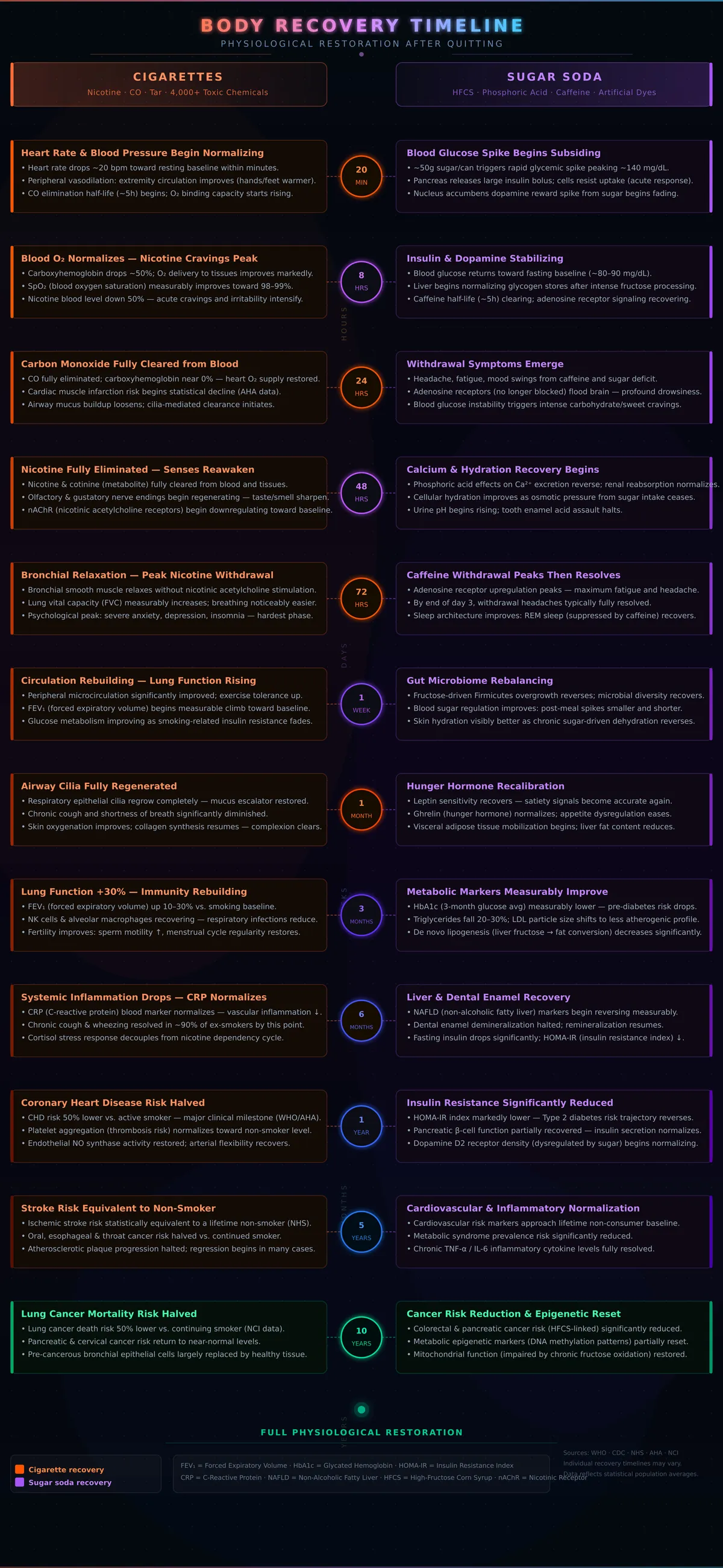 body-recovery-timeline
