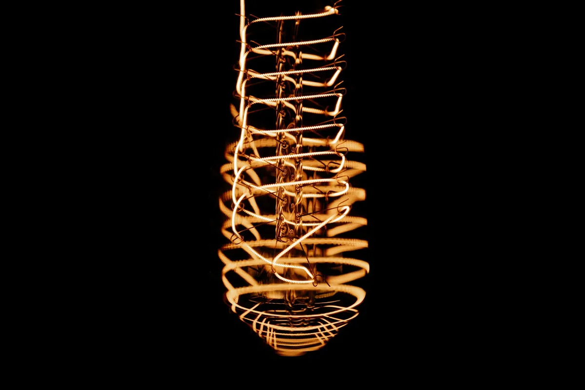Electric Lingam