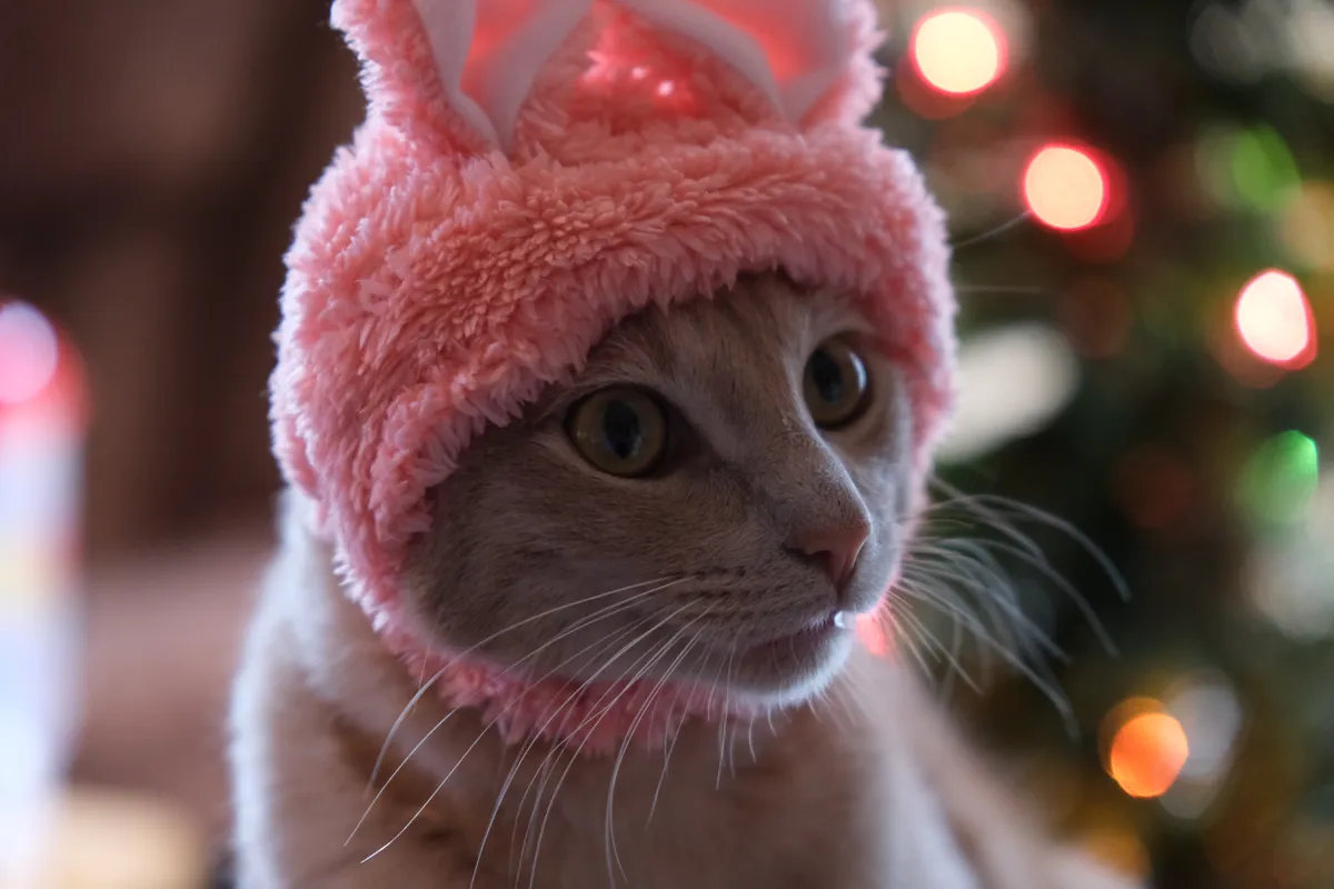 moogle13