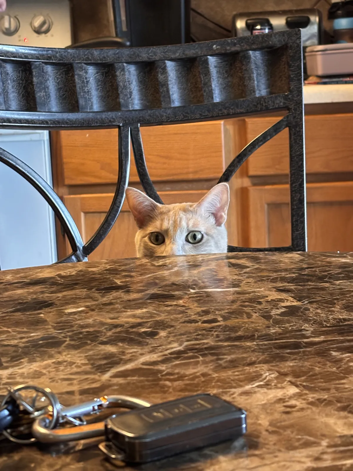 moogle12