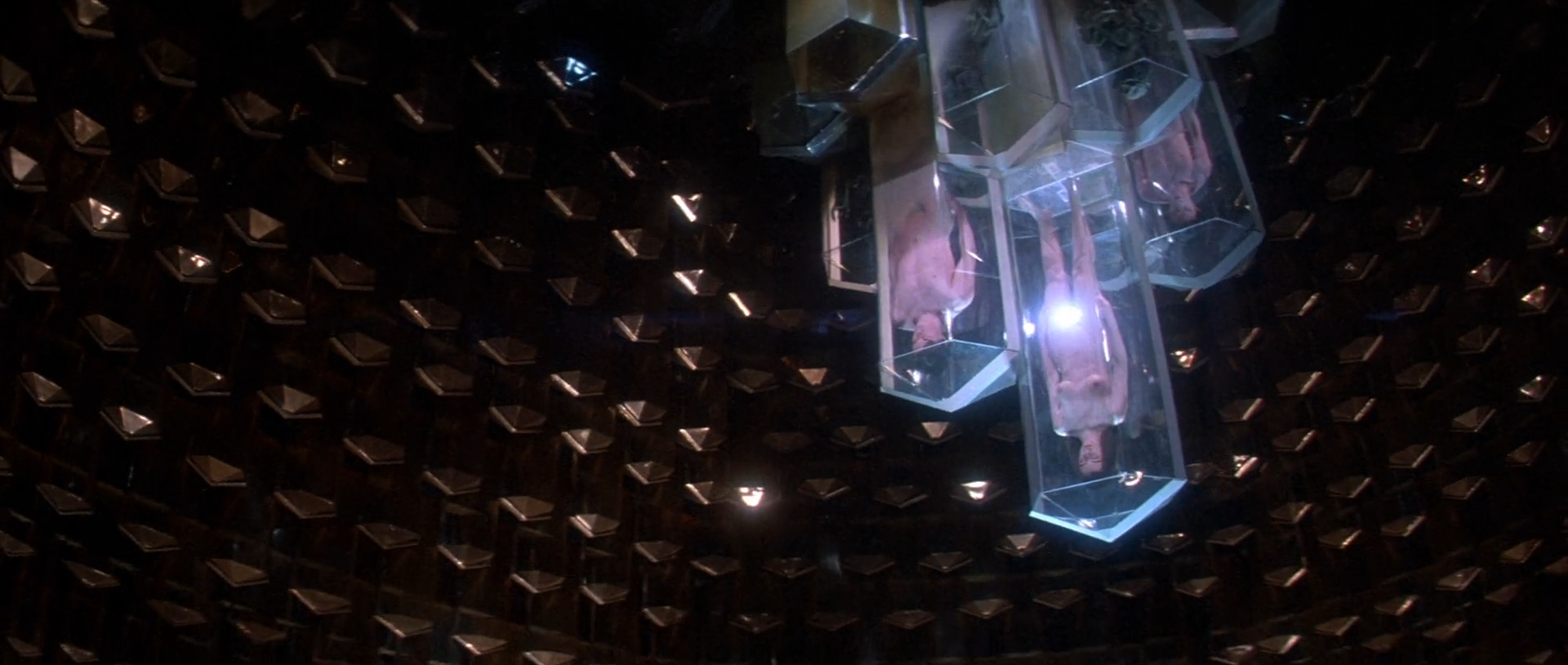 LIFEFORCE LIFEFORCE