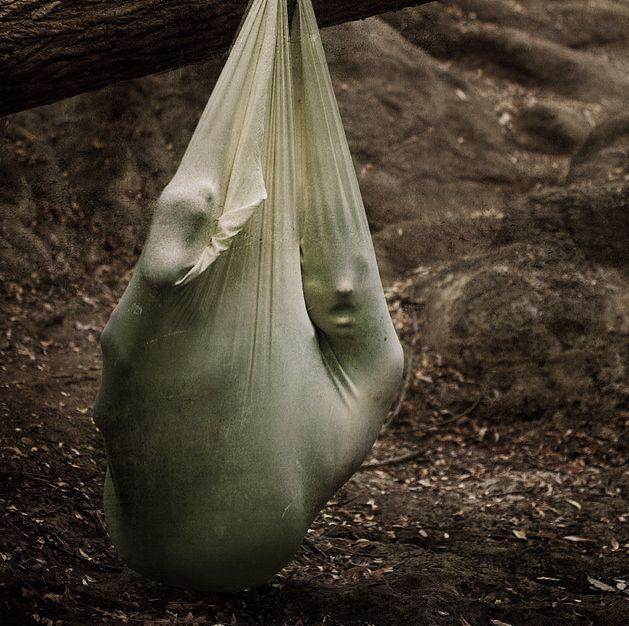 COCOON COCOON