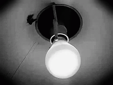 PHOTOTAXIS PHOTOTAXIS
