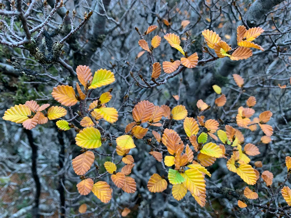IMG_1337