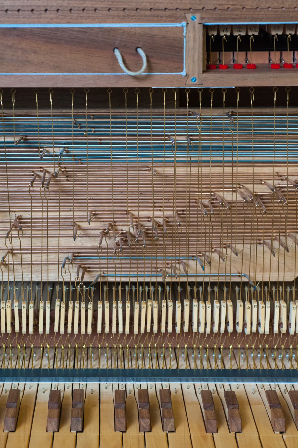 Detail of the keyboard, tracker action and valves of the Arciorgano