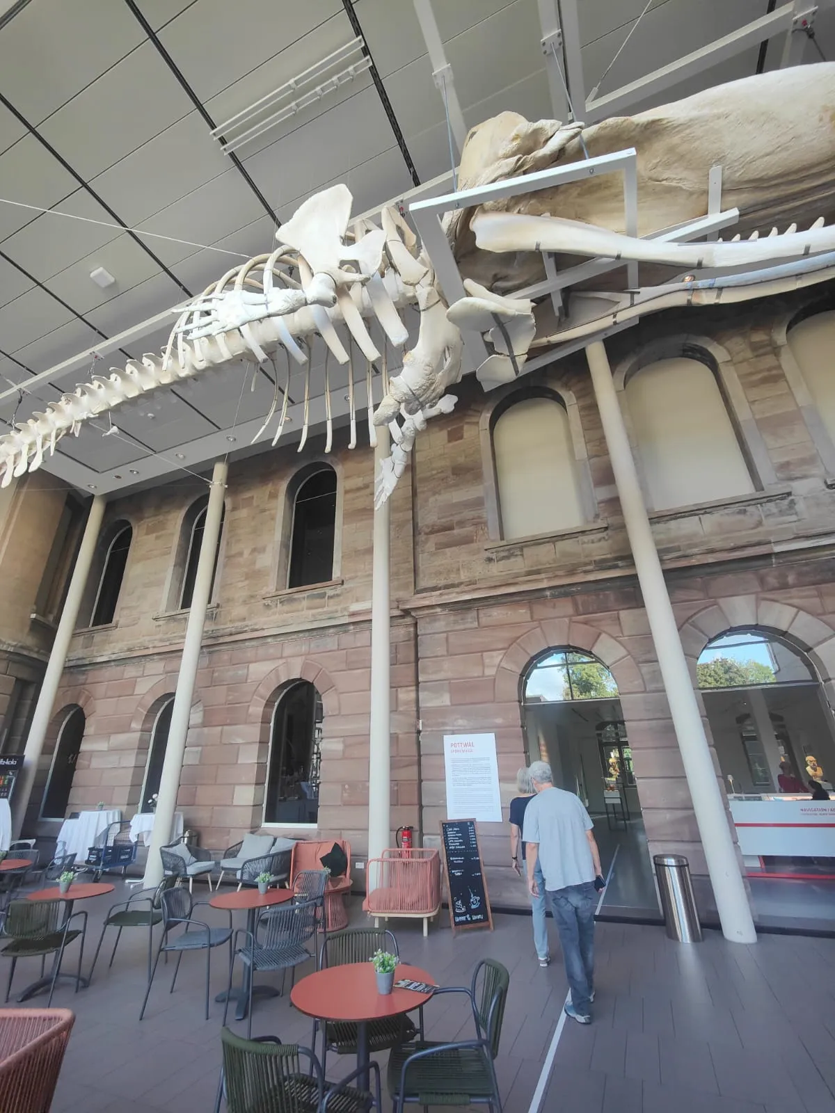 Introduction Talk under a whale