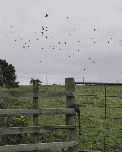 GIF_20260914_150032_607