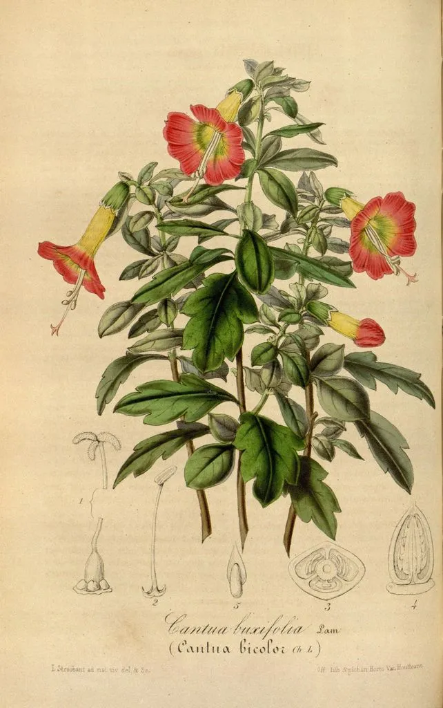 a4175c6fac2ac8eae92cdc2b5f8c85f1