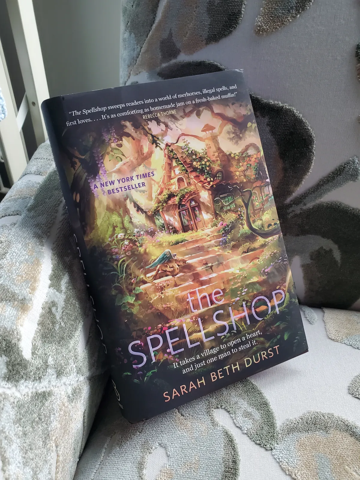 The Spellshop, posed on my chair.