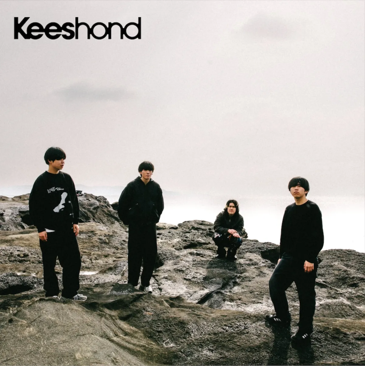 Cover of Keeshond by Keeshond
