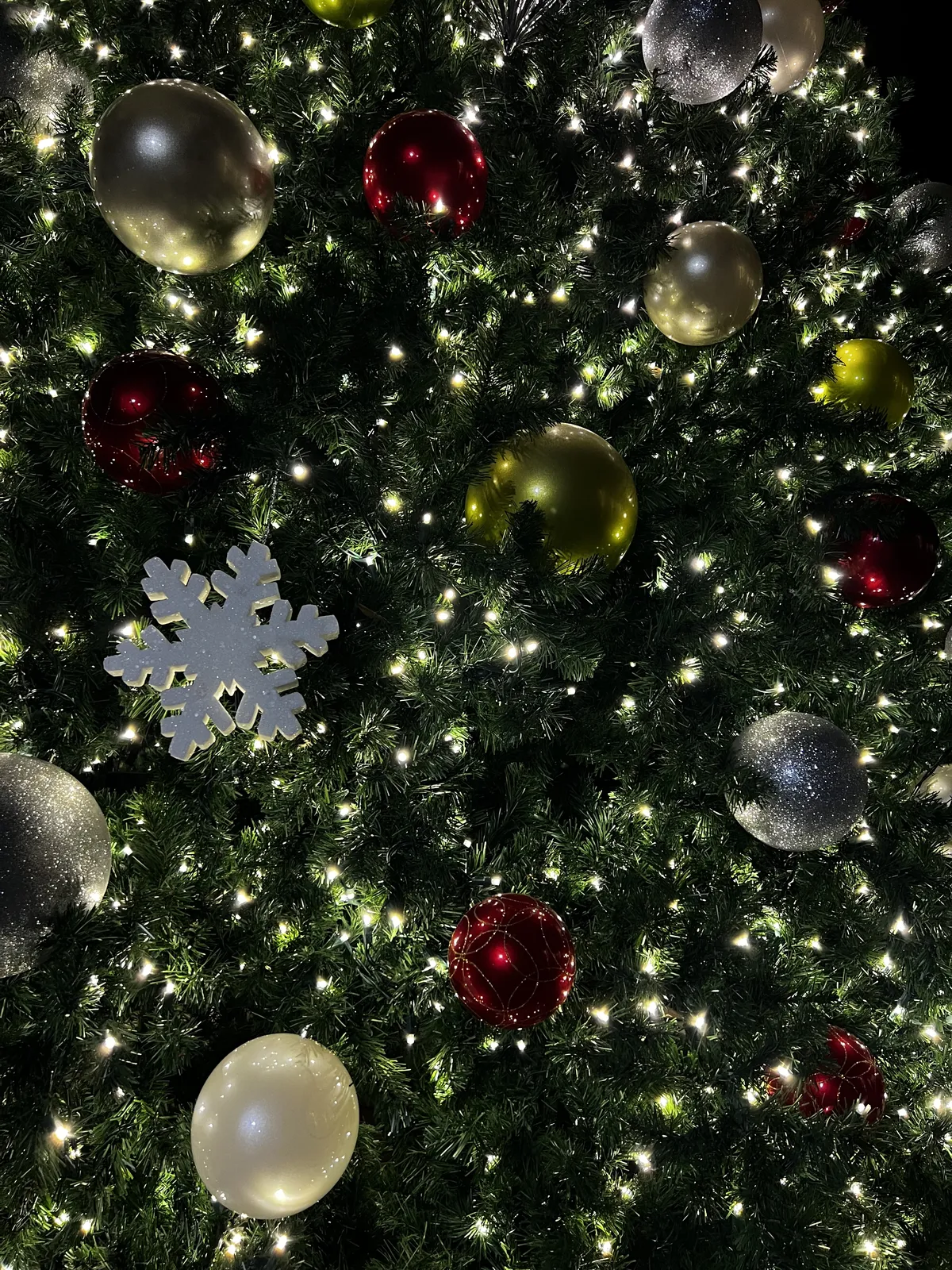 IMG_4093