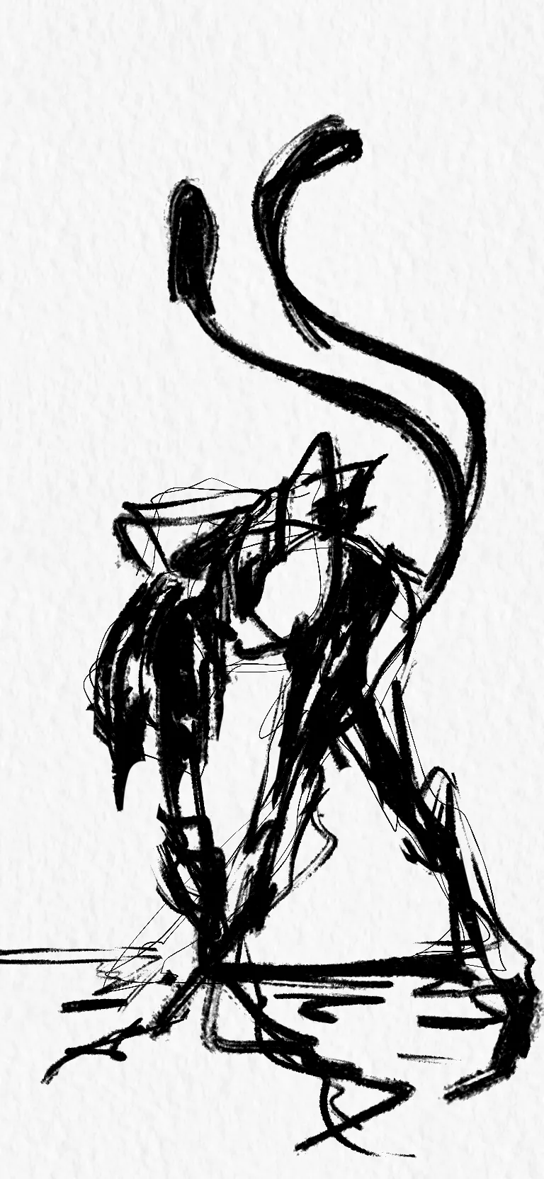 DRAWINGS_01-Sketches-1788629207748