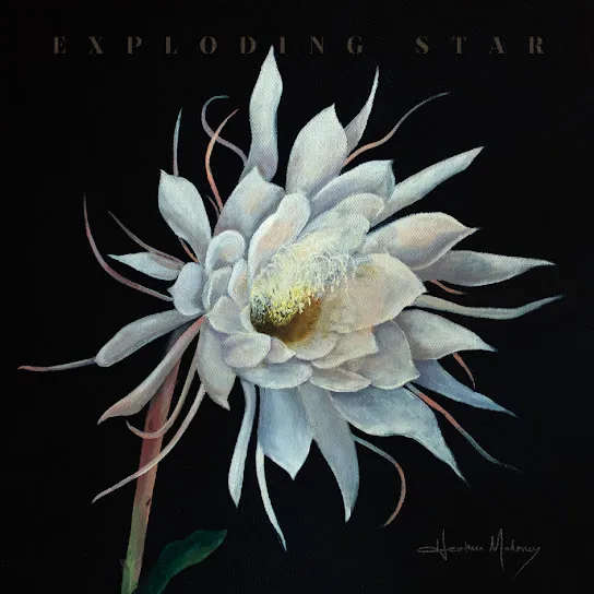 album cover for Exploding Star by Heather Maloney