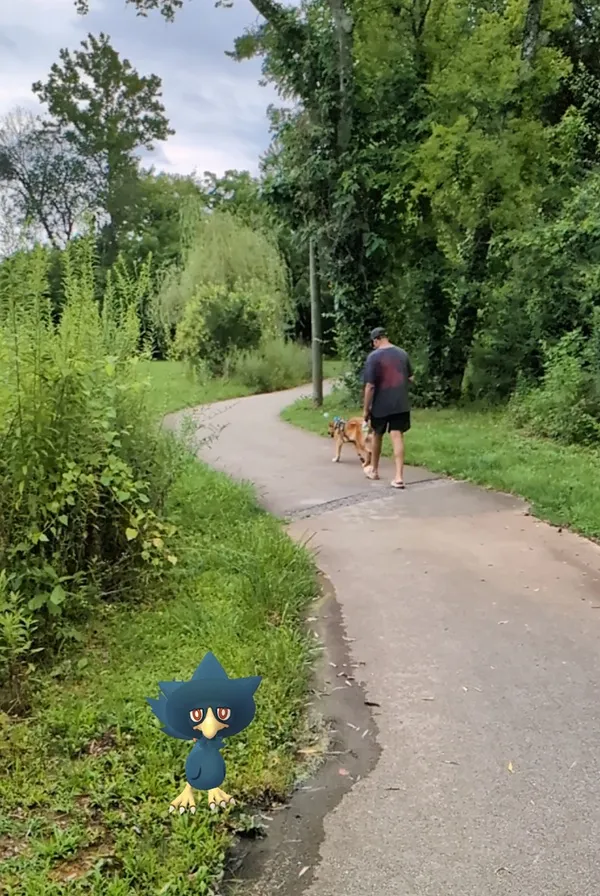 a Murkrow standing on a path with Danny and Ranni in the background