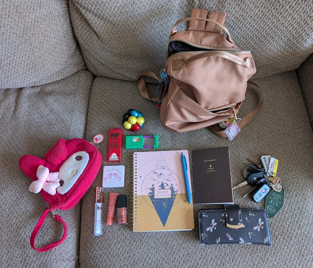 my backpack with its contents out and arranged neatly