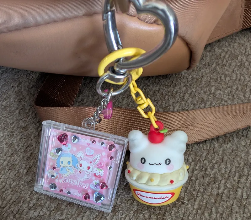 Jewelpet CD case and Hanamaruobake keychains