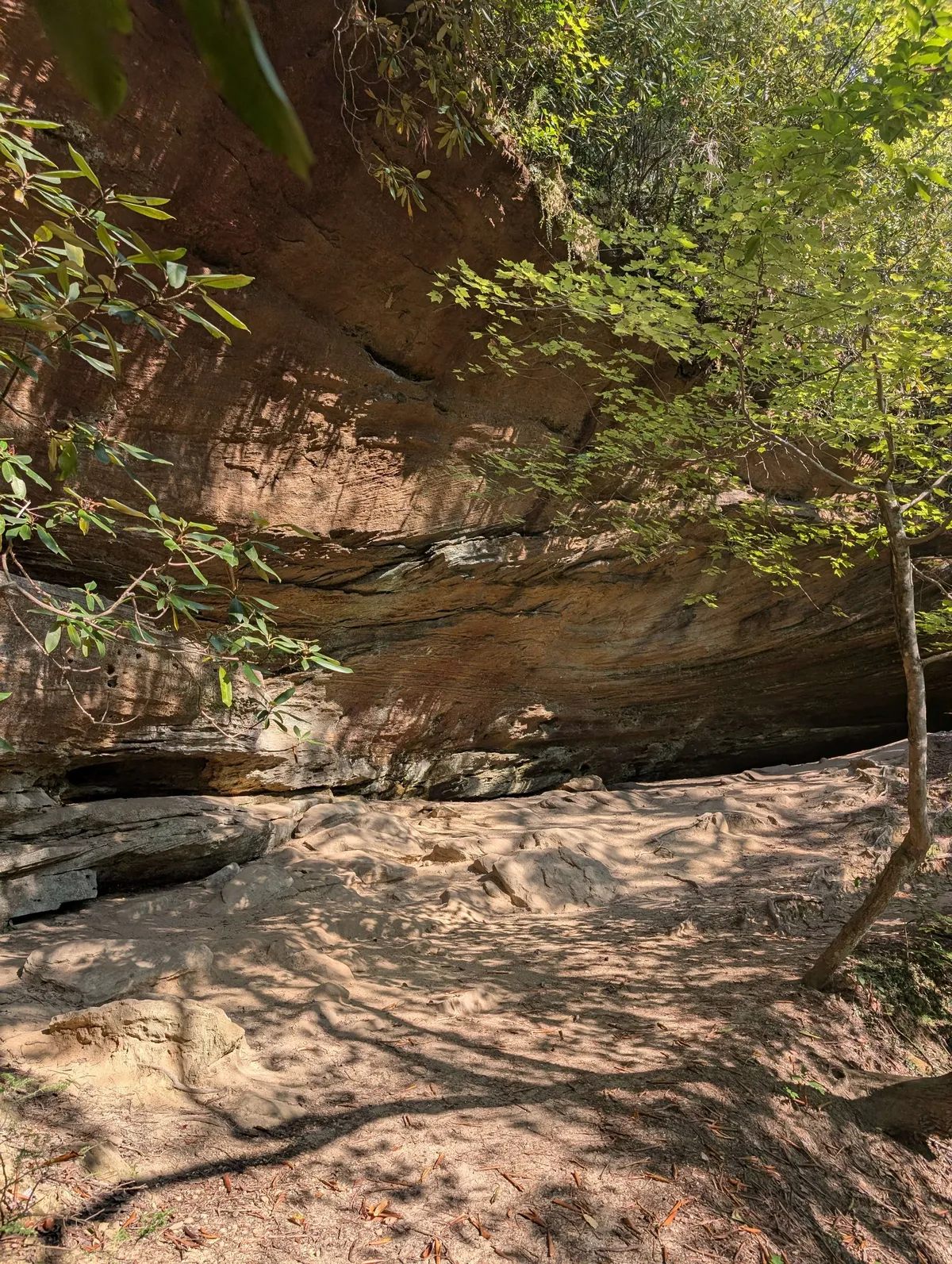limestone bluffs
