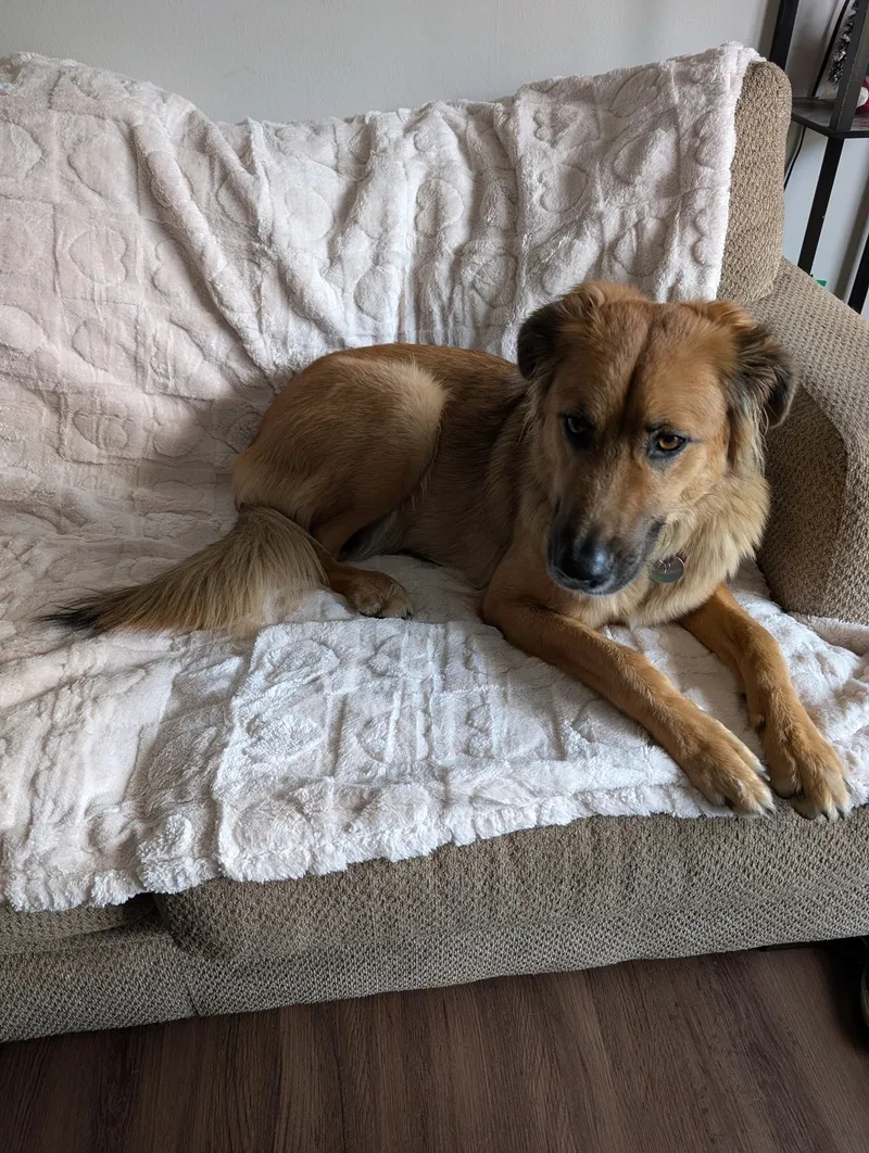 chilling on the couch