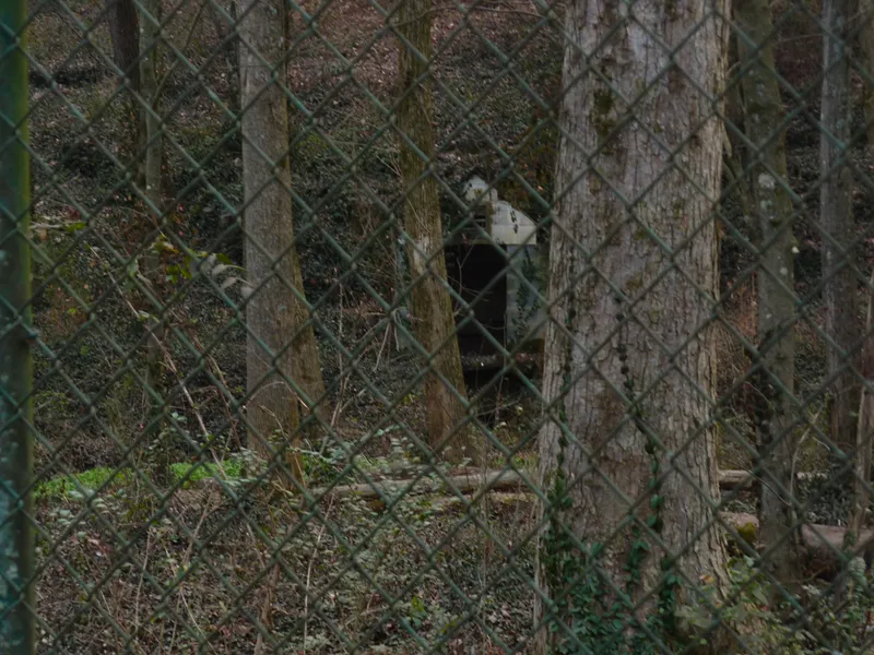 Creepy abandoned shed