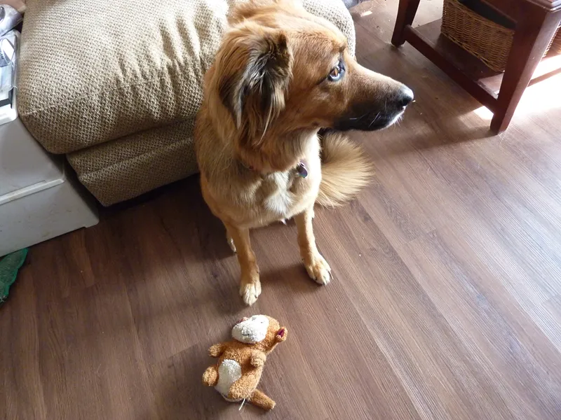Ranni with toy
