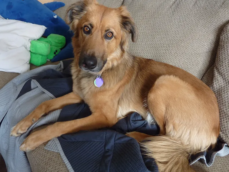Ranni on couch