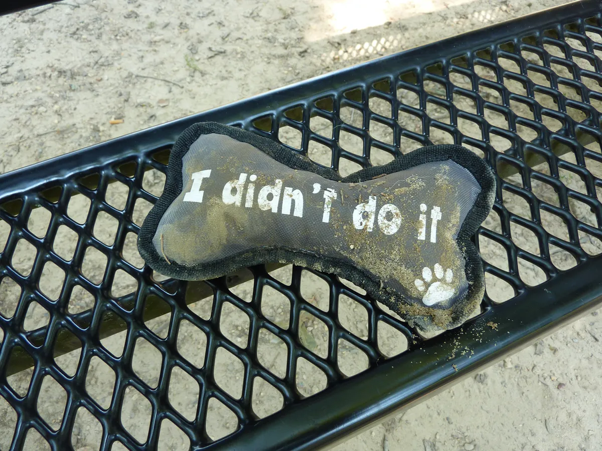 I didn't do it