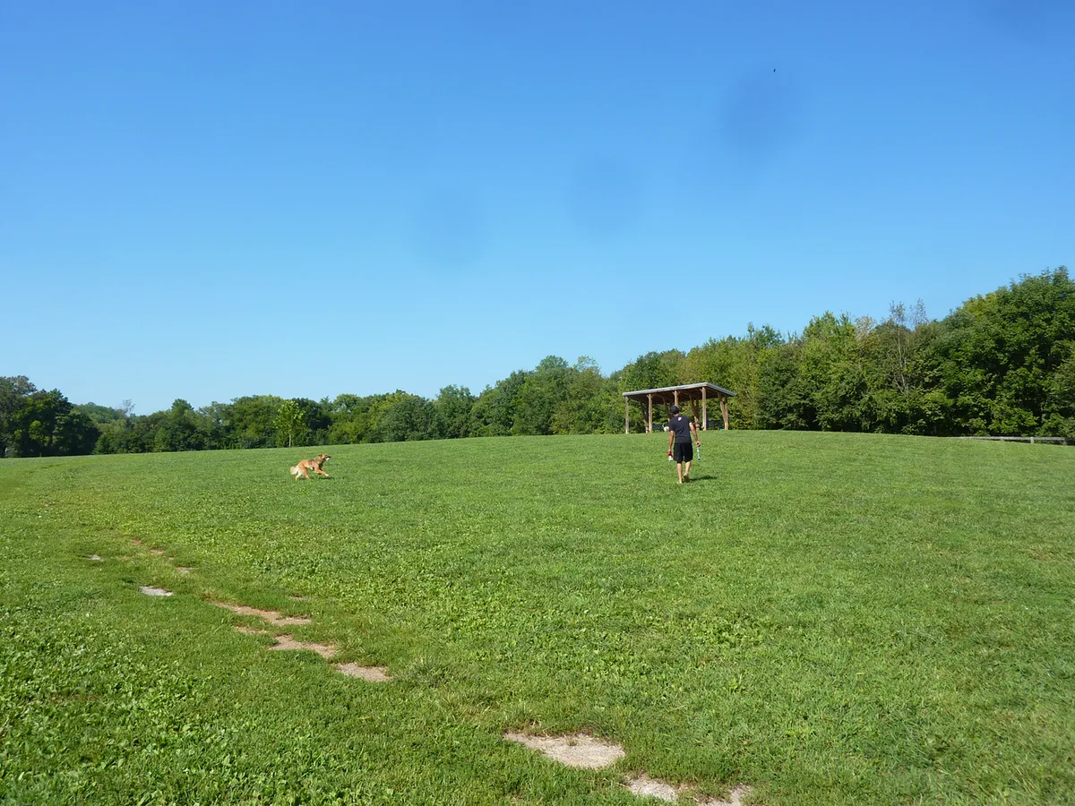 big park