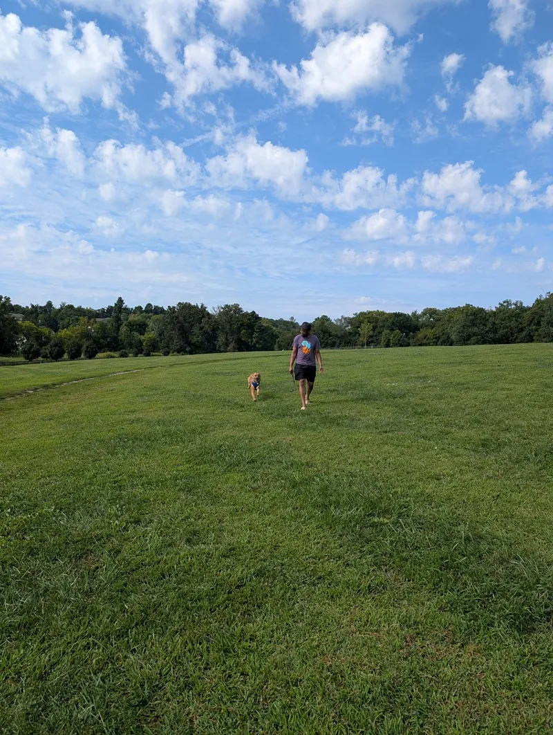 running at the dog park