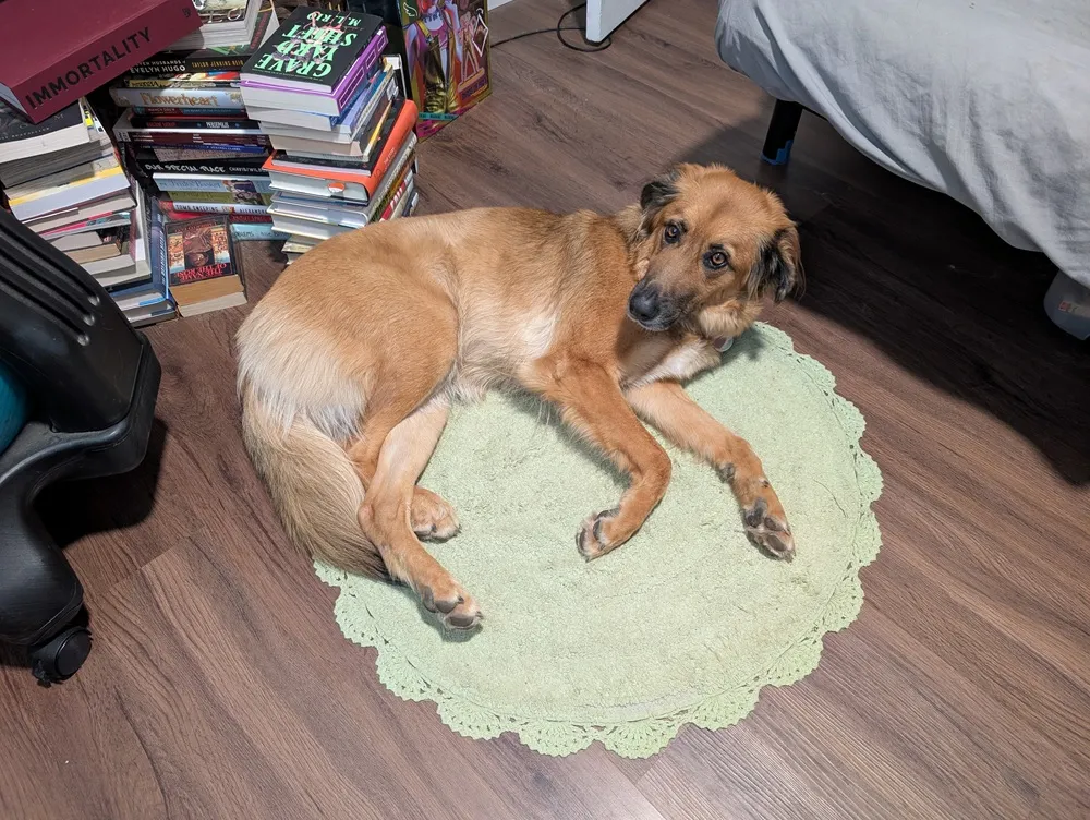 lying on her favorite rug