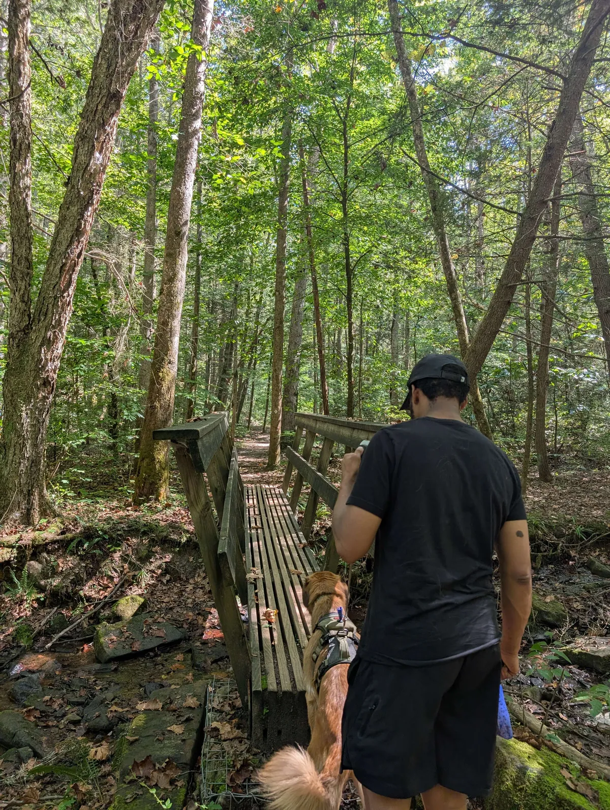 hiking across a small bridge
