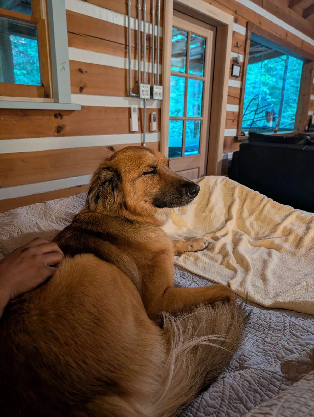 Ranni relaxing in the cabin