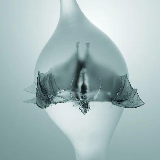 Unprocessed album cover featuring an x-ray of a bat