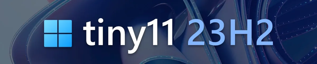 Tiny11