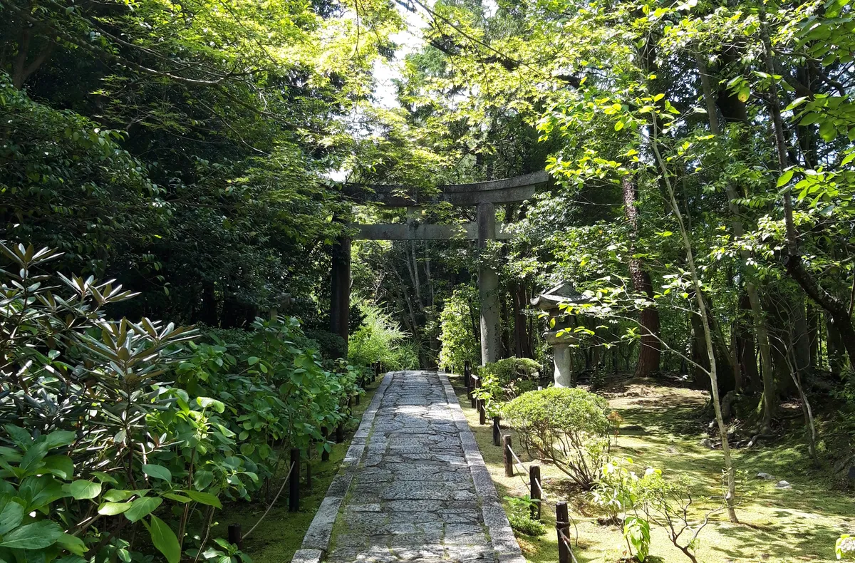 garden in japan - 2024