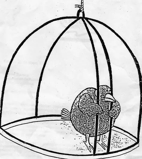 birdincage