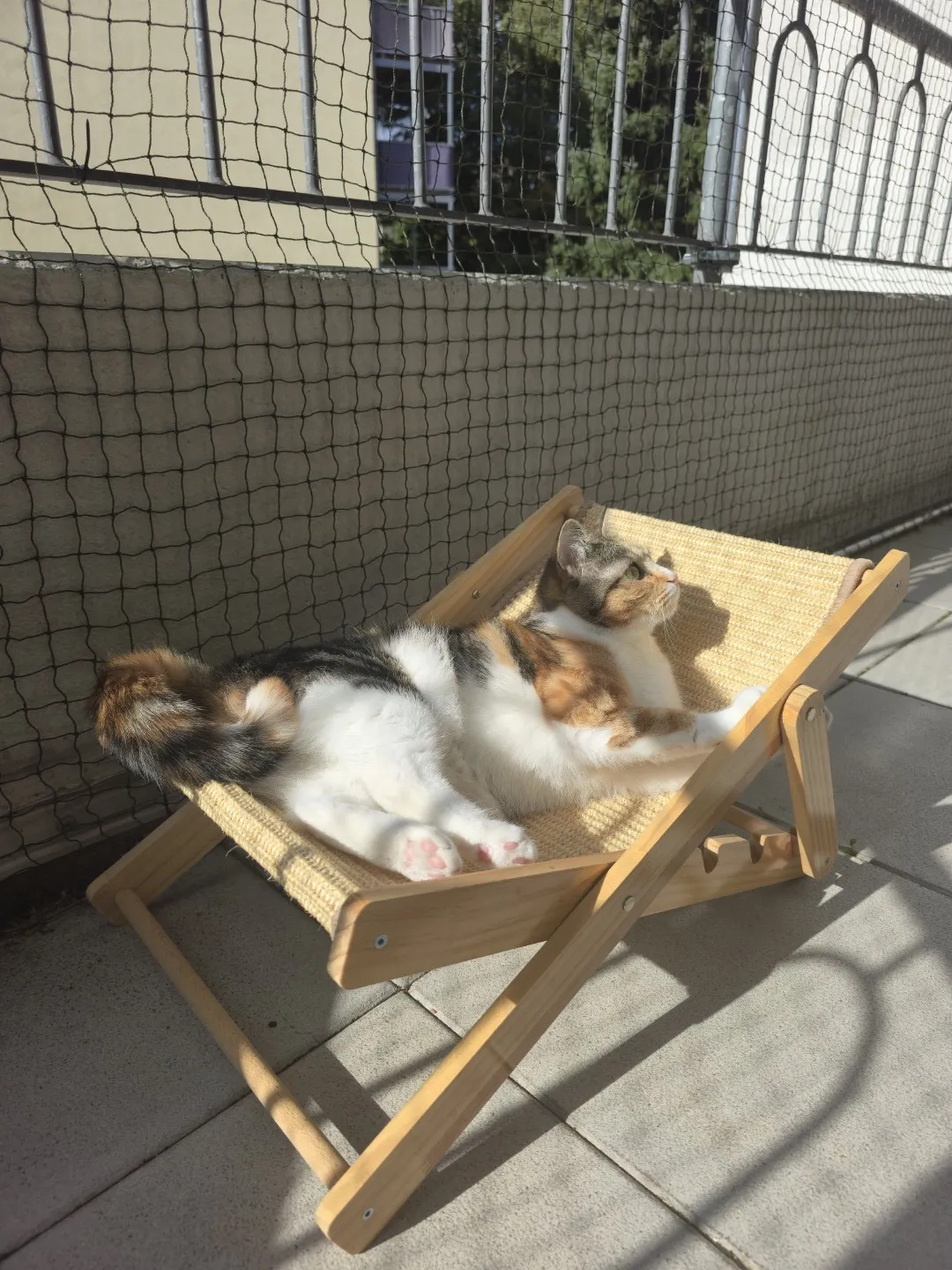 Die letzten Sonnenstrahlen des Sommers
