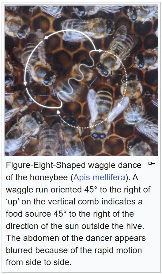 Screenshot 2025-11-11 143431