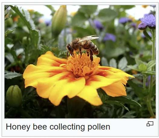 Screenshot 2025-11-11 143621