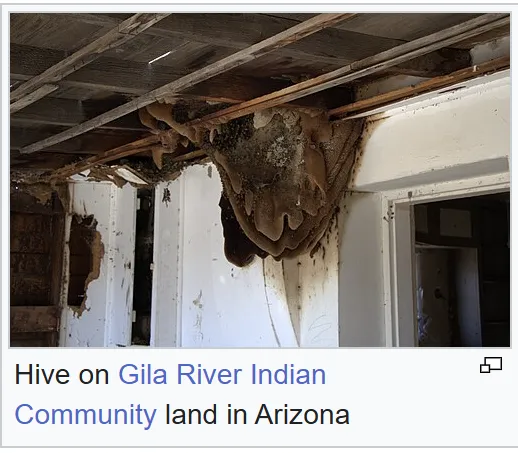 Screenshot 2026-04-28 141206