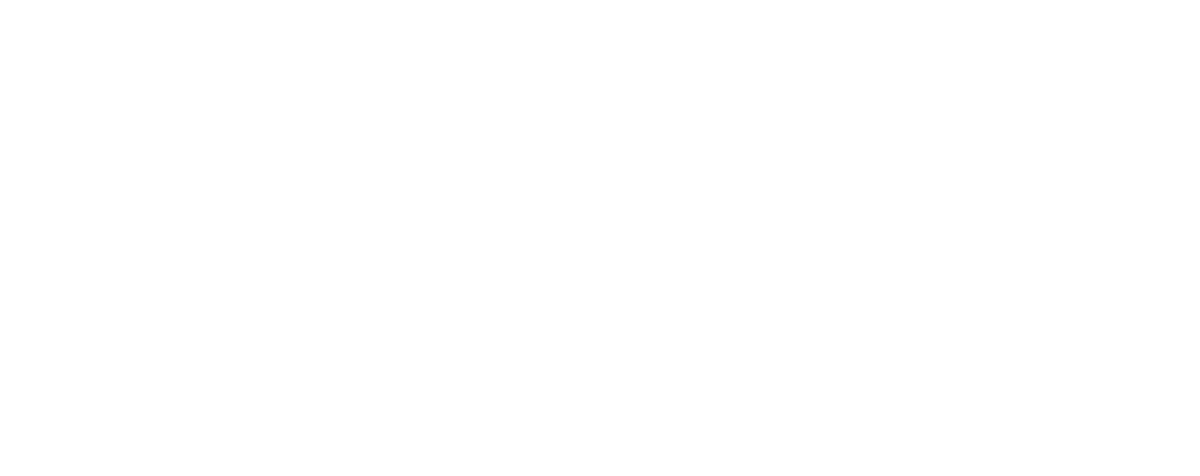 FIRST CANOPY logo