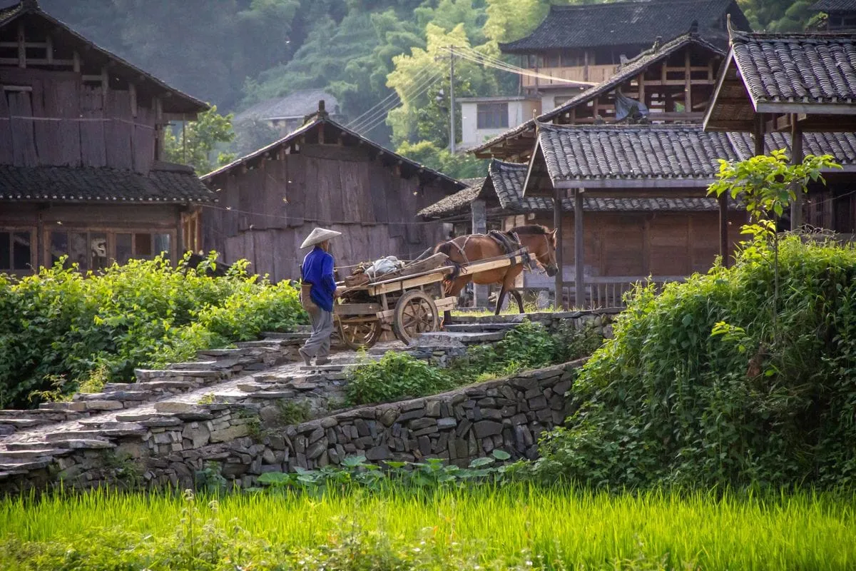 A Chinese farmer wearing a conical hat walking alongside a horse-drawn cart on a stone path through a lush green village with traditional wooden buildings