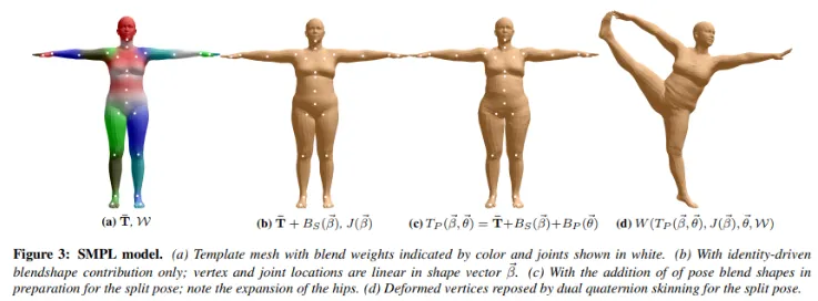 SMPL Paper