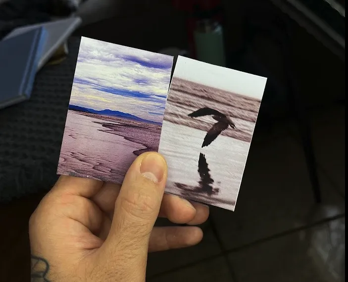 nogallery